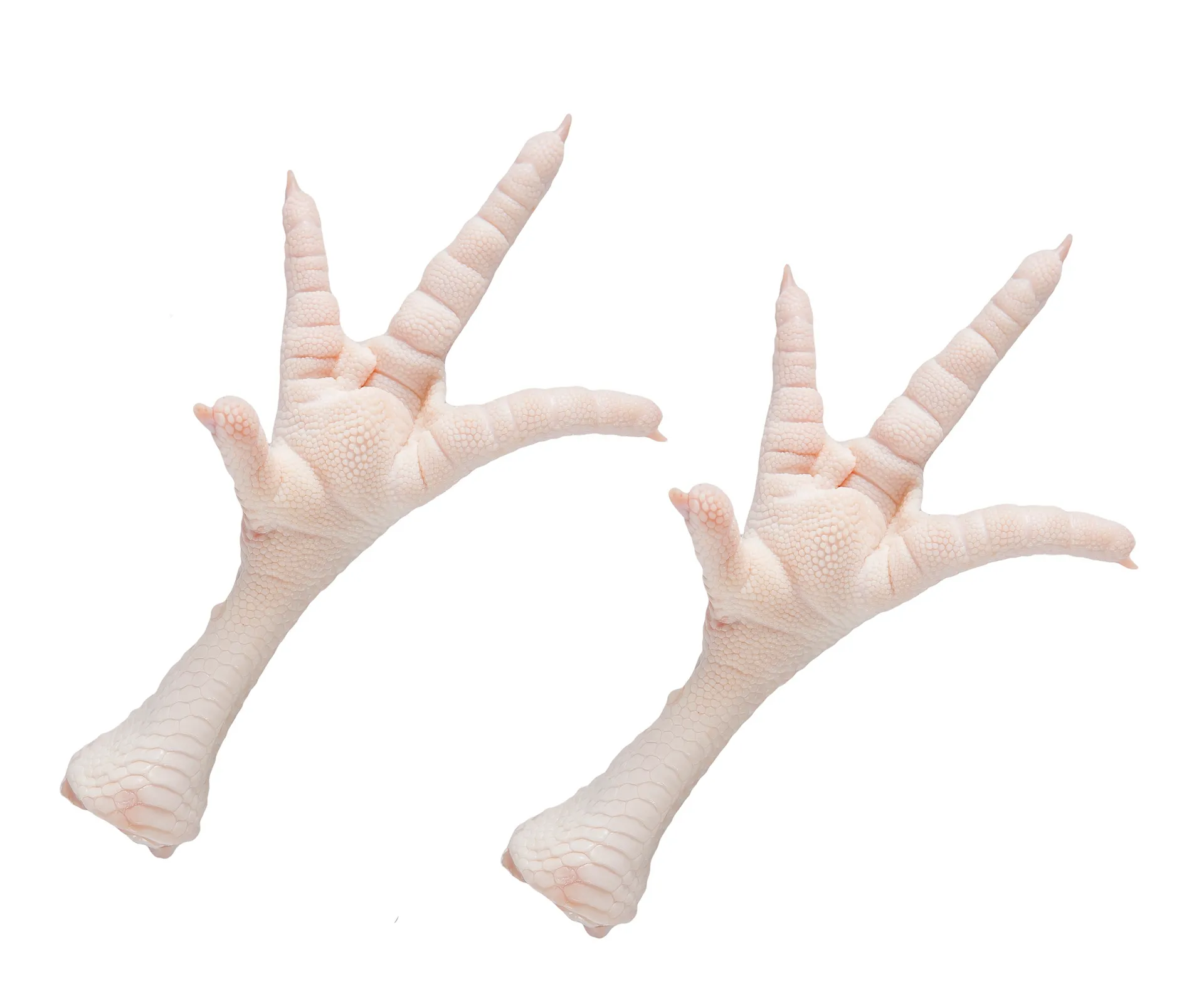 Frozen Chicken Feet