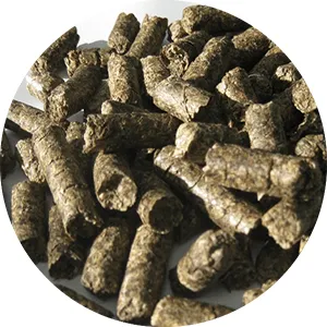 Beet Pulp