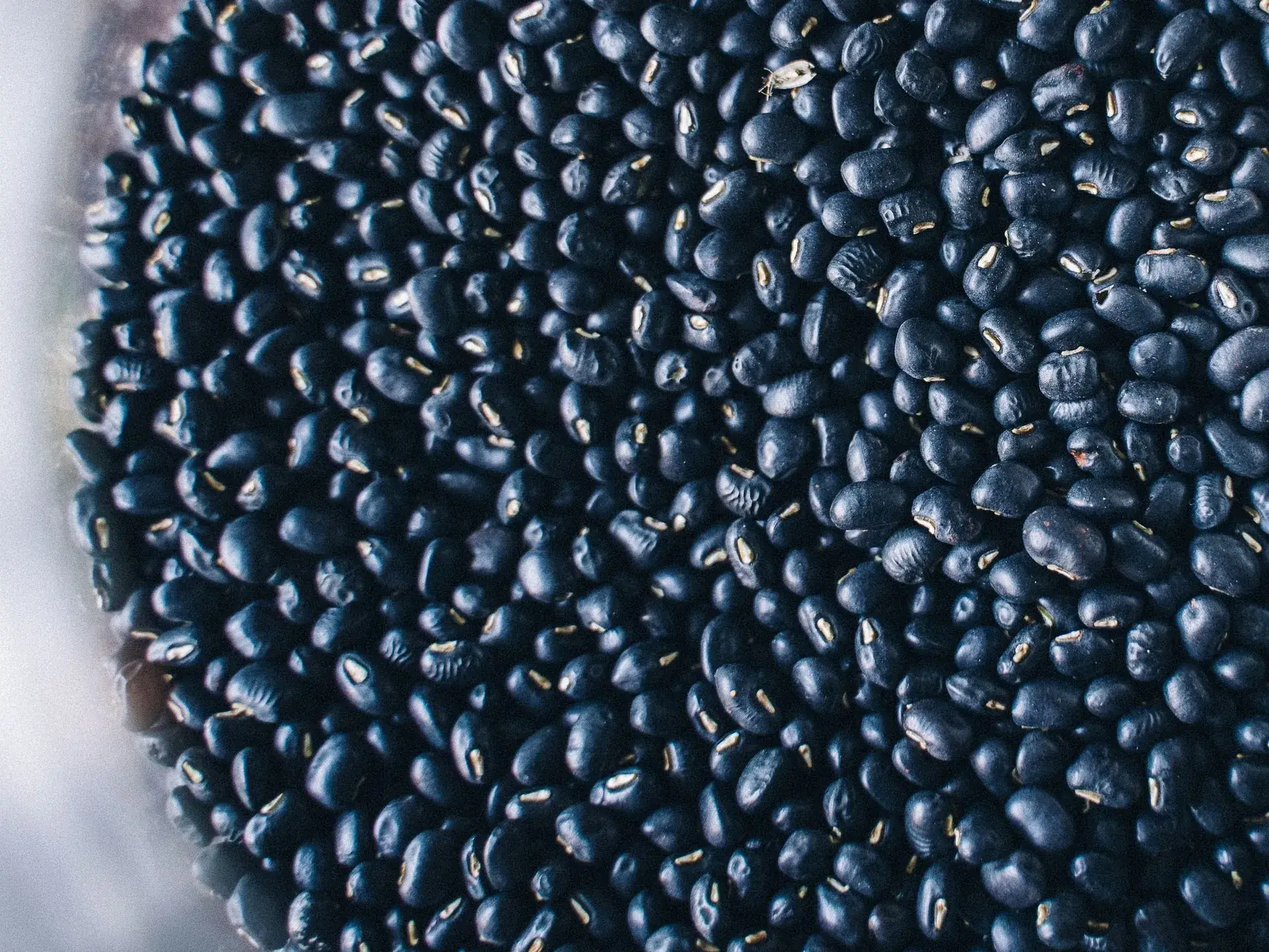 Black Matpe