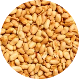 Peanuts