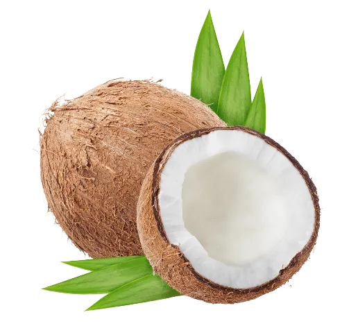 Organic Desiccated Coconut Fine Shred