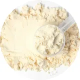 Whey Protein
