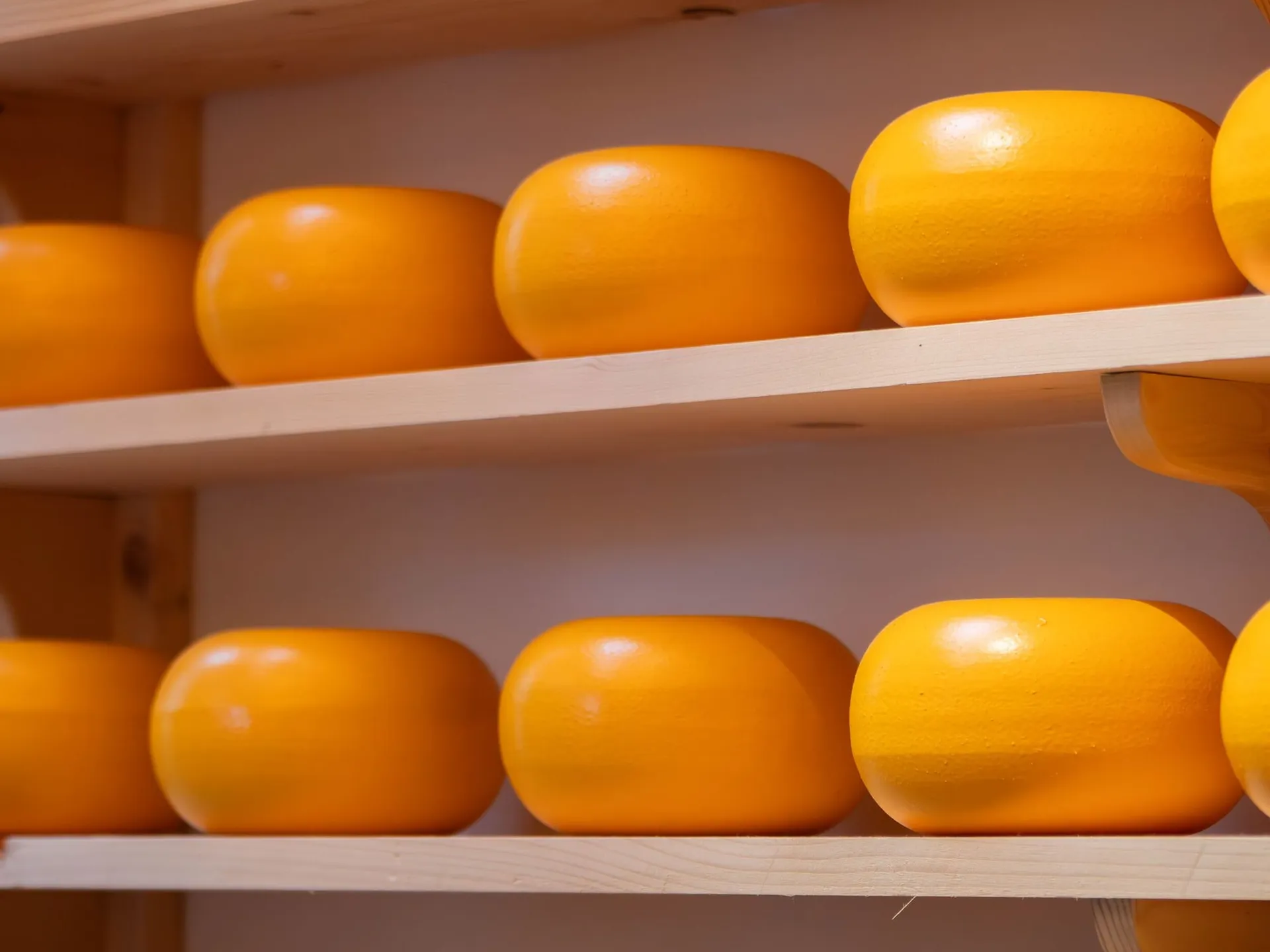 Gouda