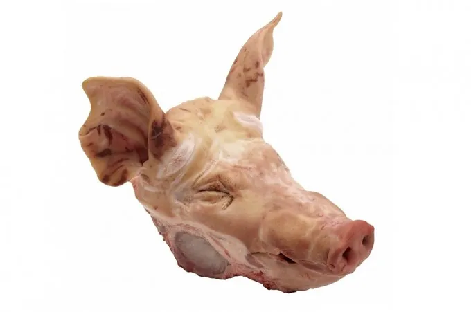 Frozen Pork Offals
