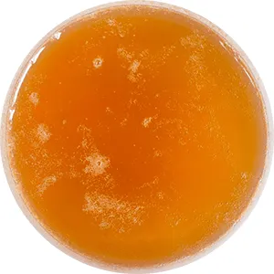 Chicken Fat