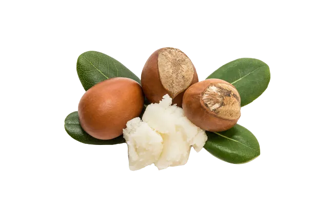 Sheabutter