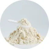 Micellar Casein