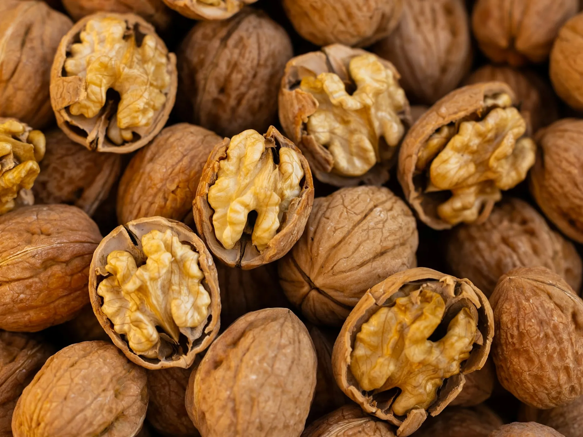 Noci