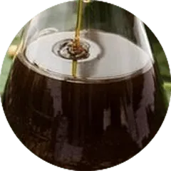 Soy Lecithin