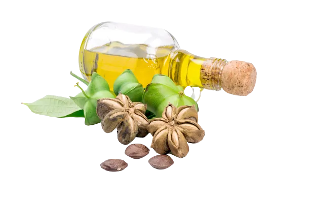 Olio di sacha inchi