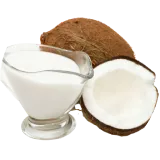 18% Fat Organic Aseptic Coconut Cream