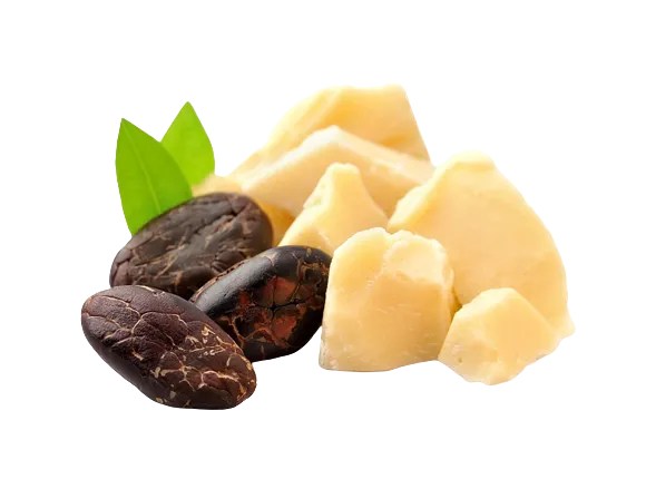 Cocoa Butter