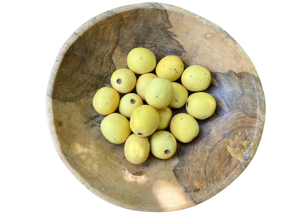 Óleo de marula