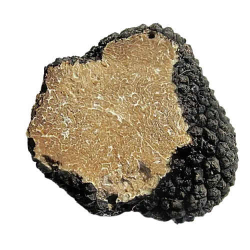Fresh Summer Truffle