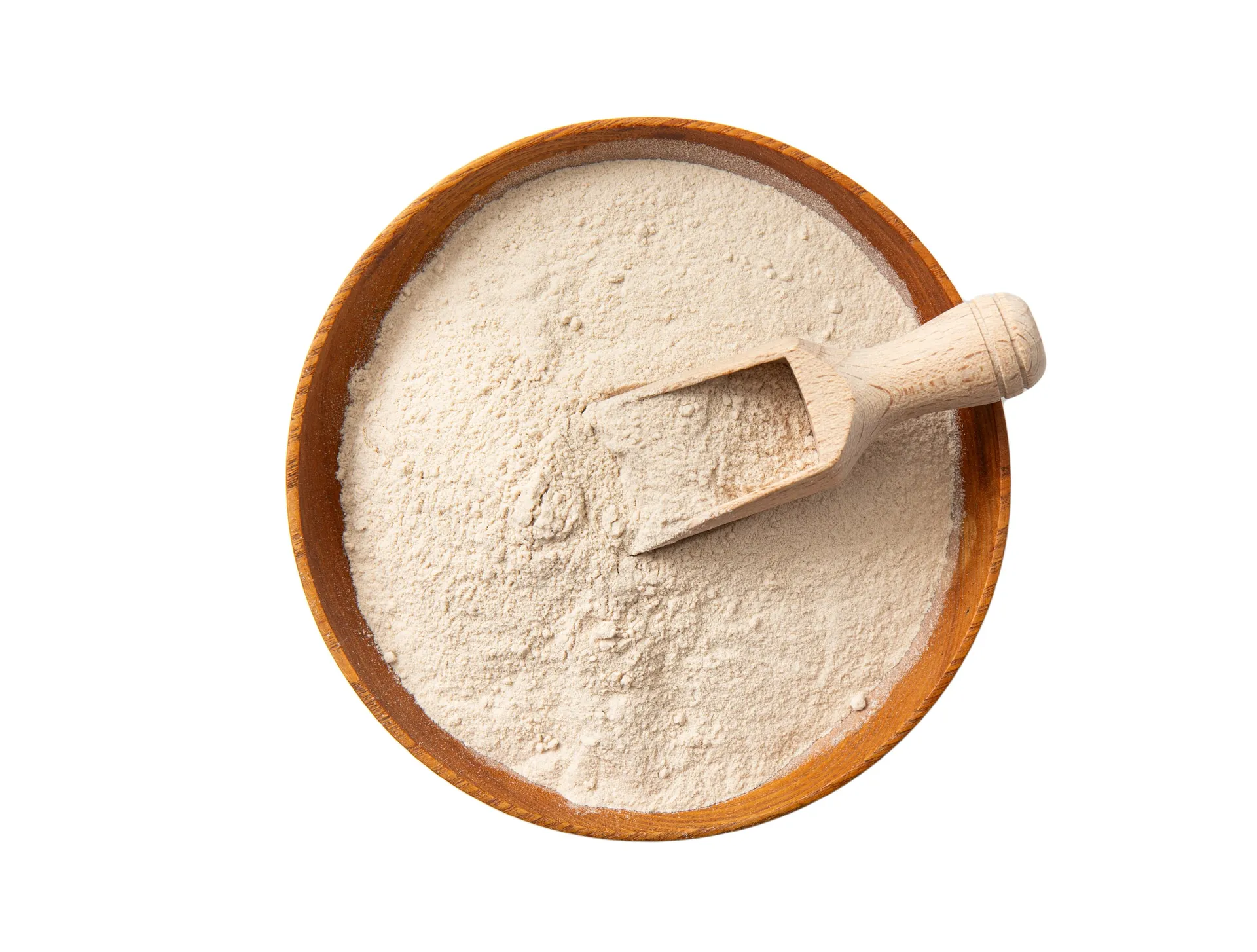 Tégument de psyllium en poudre 95 %