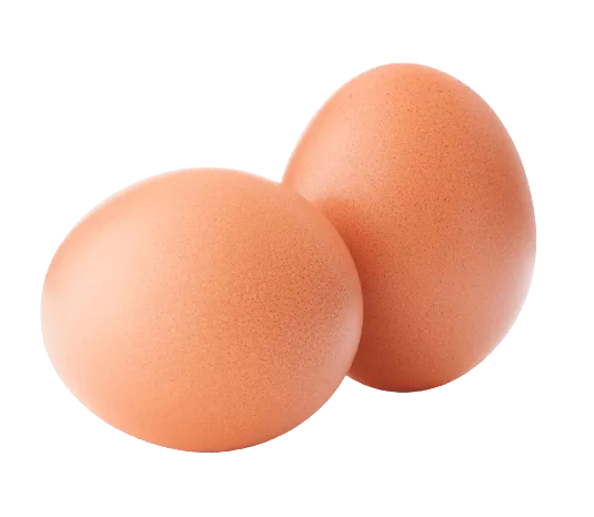 Dried Egg Powder