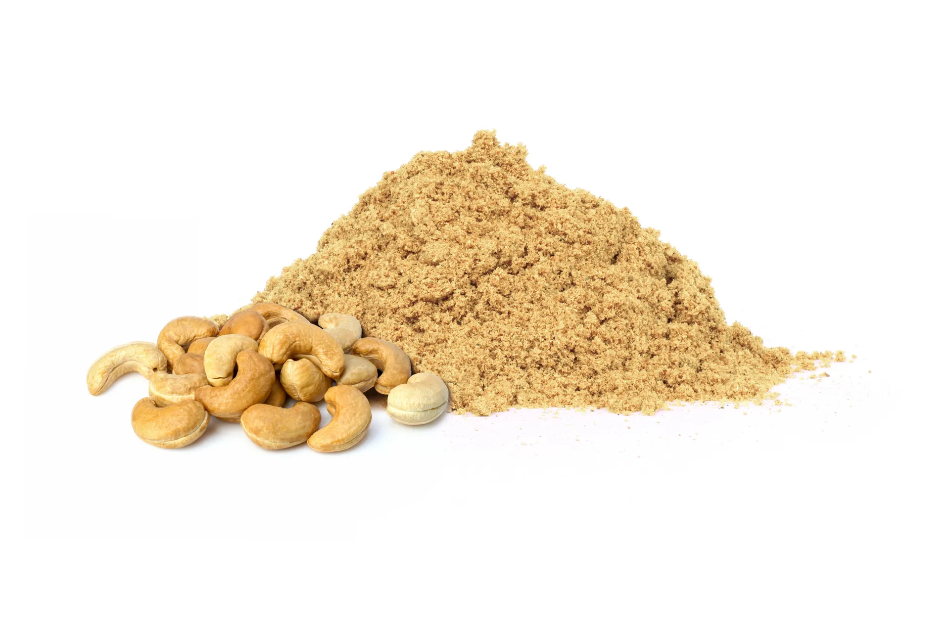 Cashew Protein