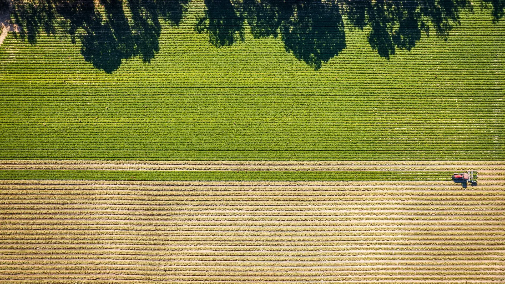 Aerial view of farmland with a tractor working a field