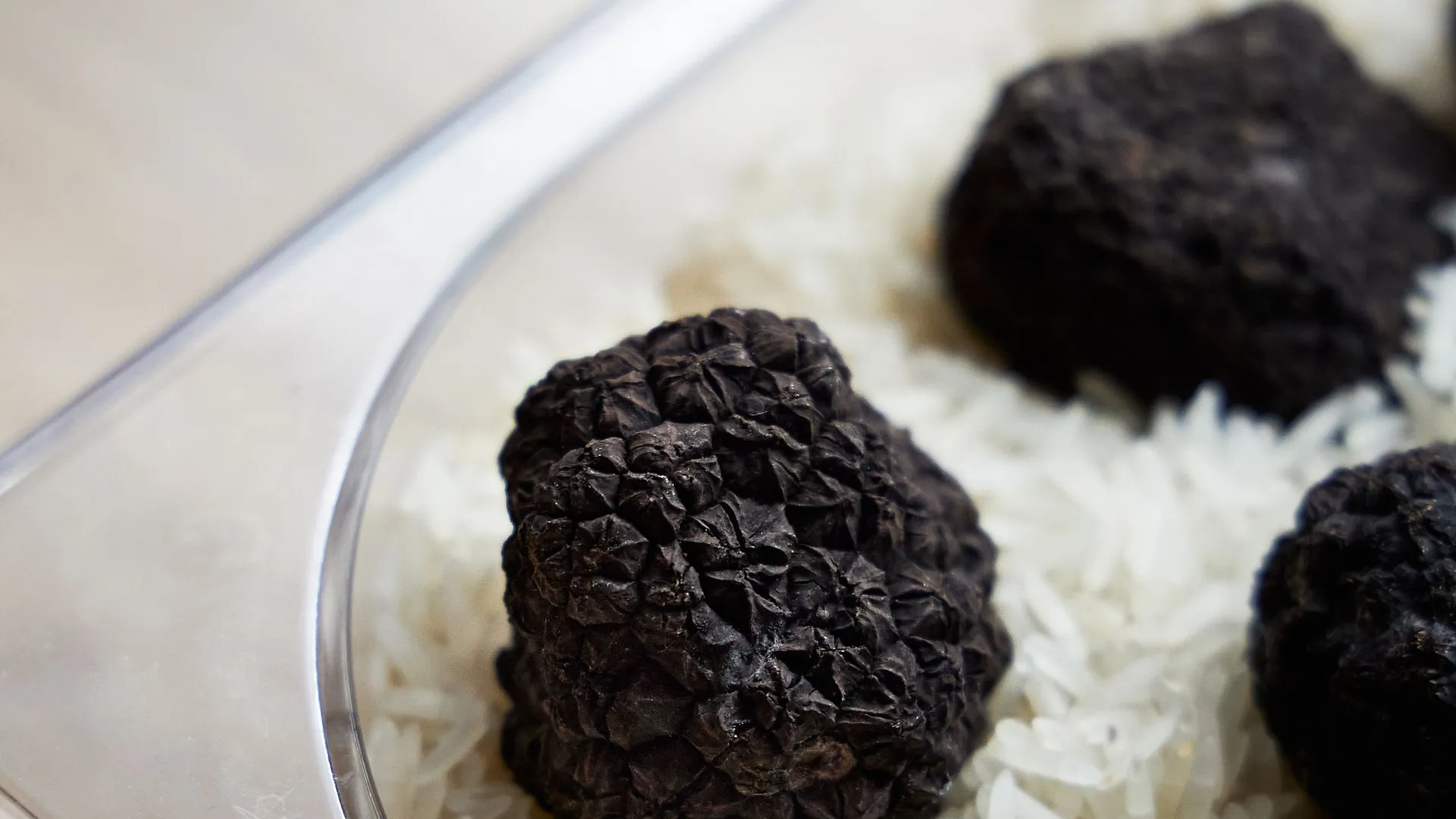 Black truffles resting on rice